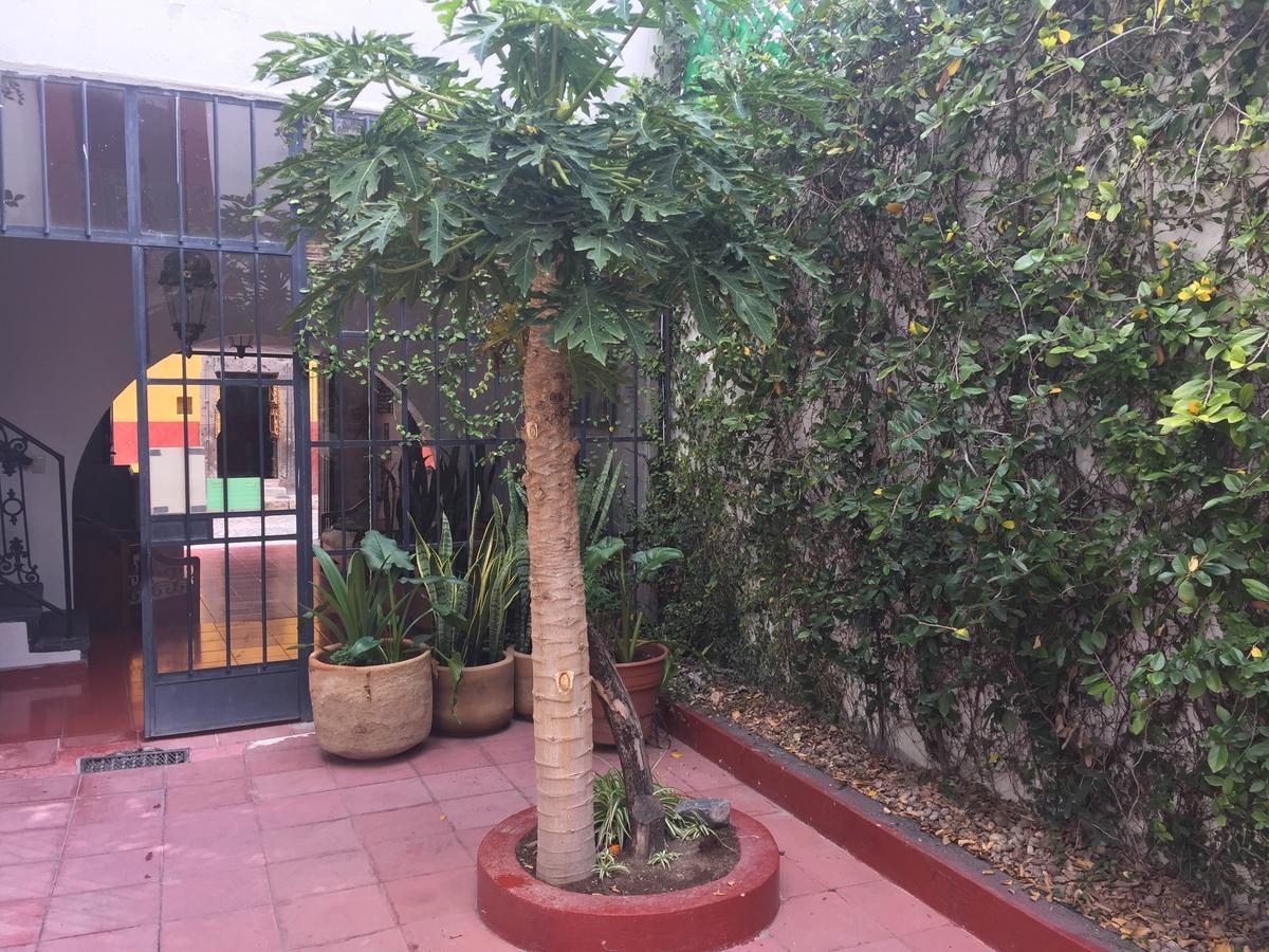 Alcatraz Hostal San Miguel de Allende Bagian luar foto